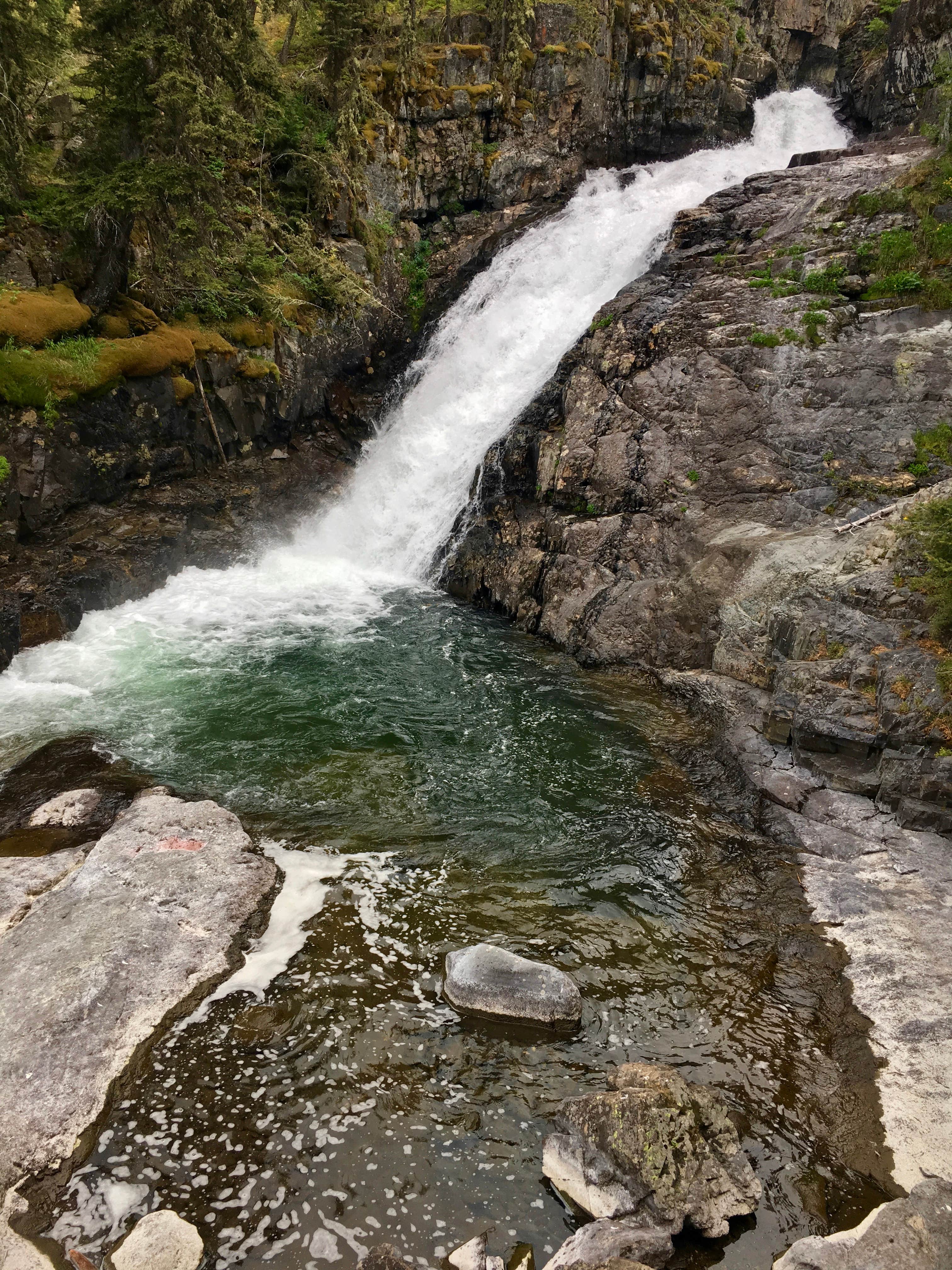 Camper-submitted photo at Halfmoon Campground near Shawmut, MT