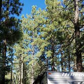 Review photo of Pineknot by Colette K., August 25, 2017