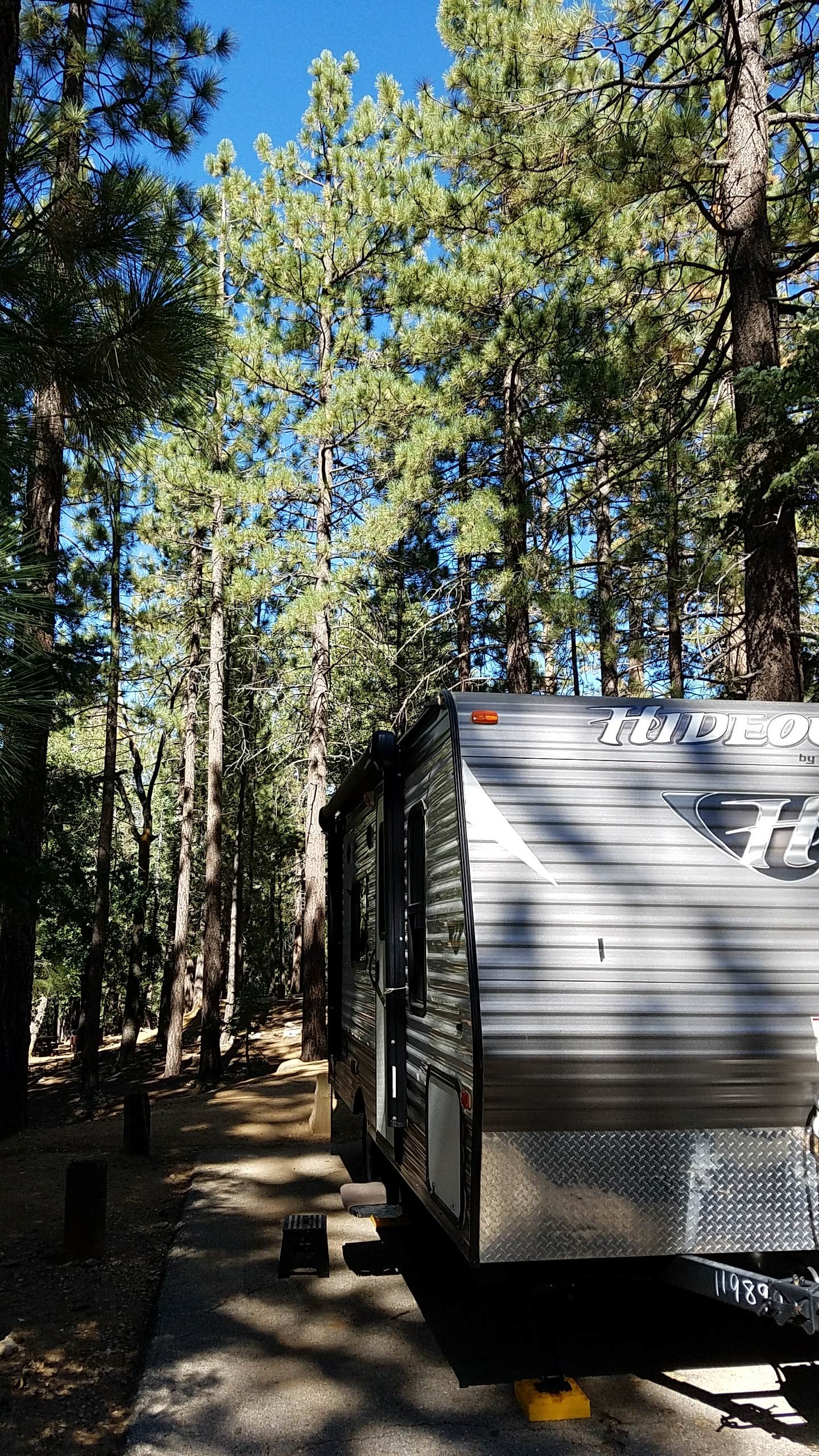 Camper submitted image from Pineknot - 3