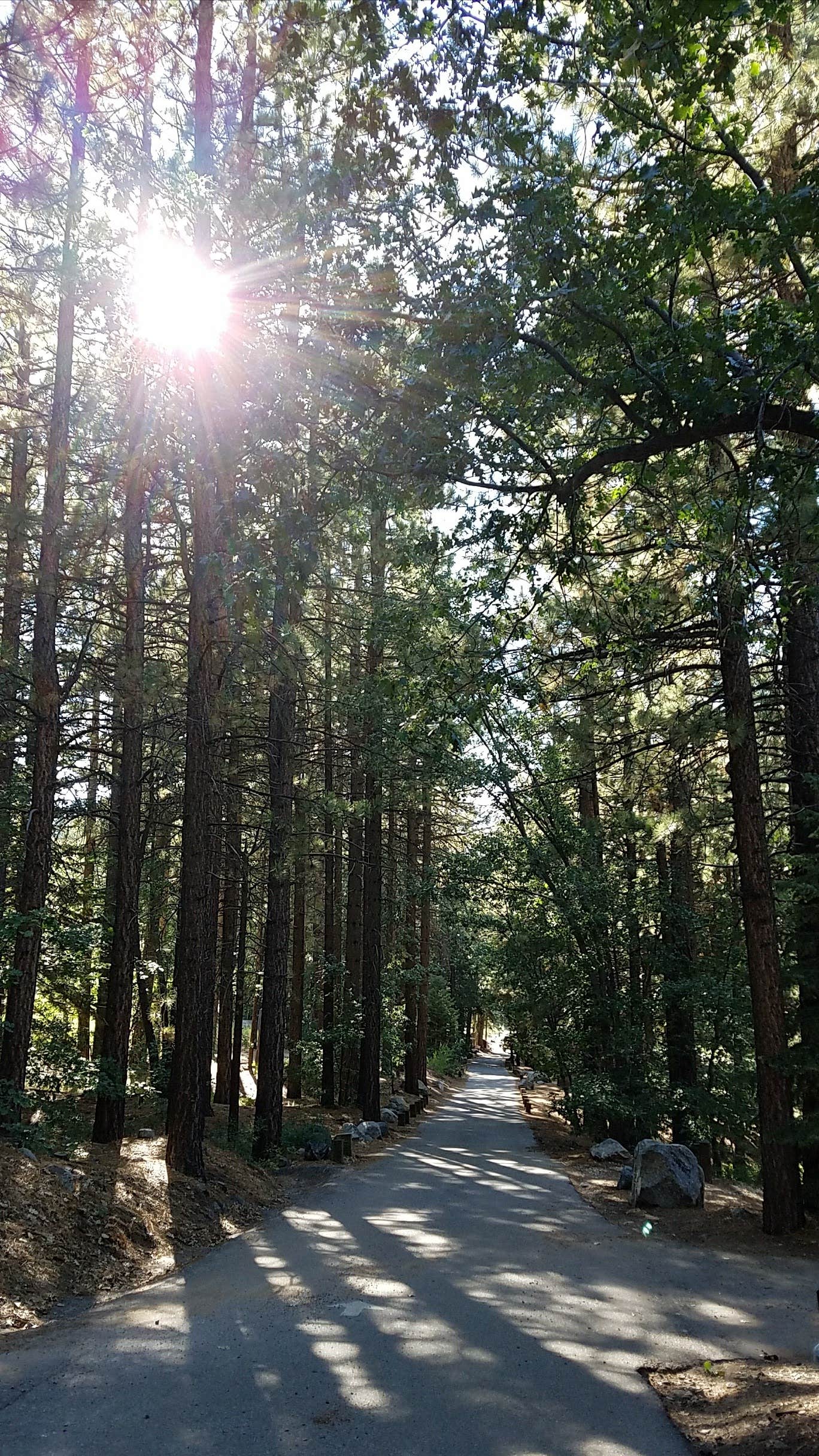 Pineknot Camping Big Bear, CA