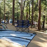 Review photo of Pineknot by Colette K., August 25, 2017