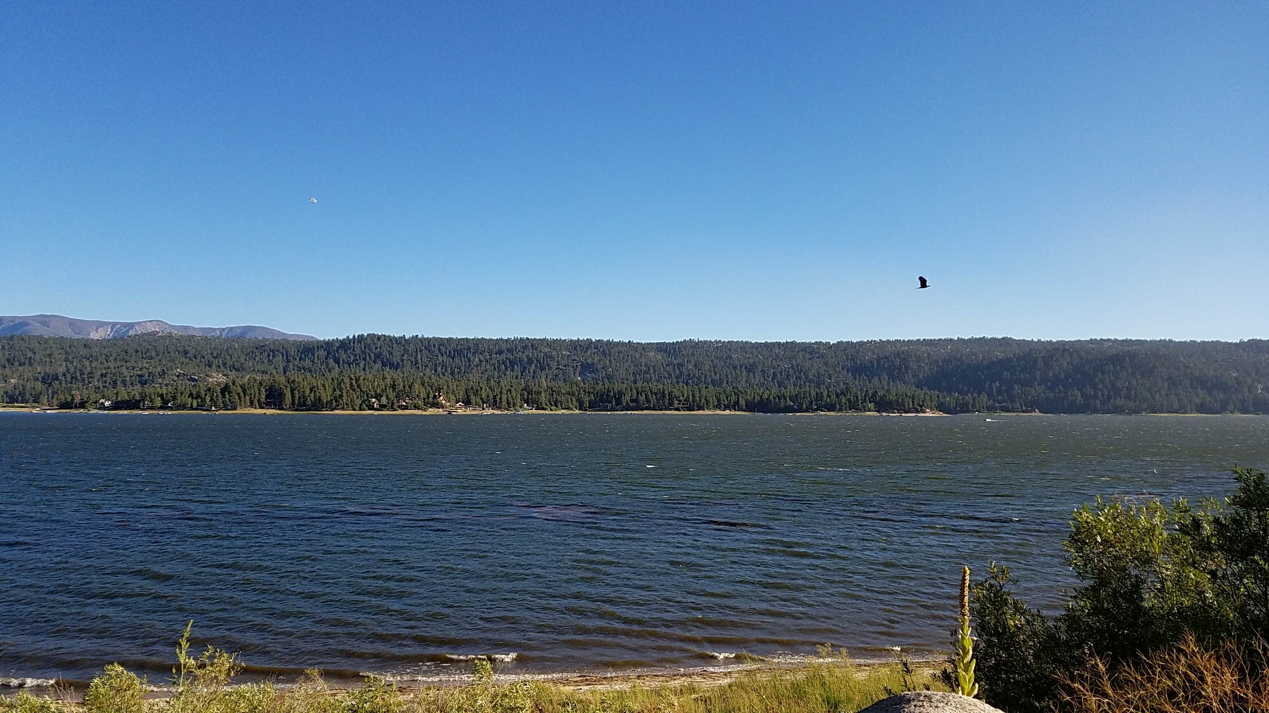 Camper-submitted photo at Pineknot near Big Bear Lake, CA