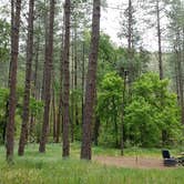 Review photo of Cave Springs by Colette K., August 25, 2017