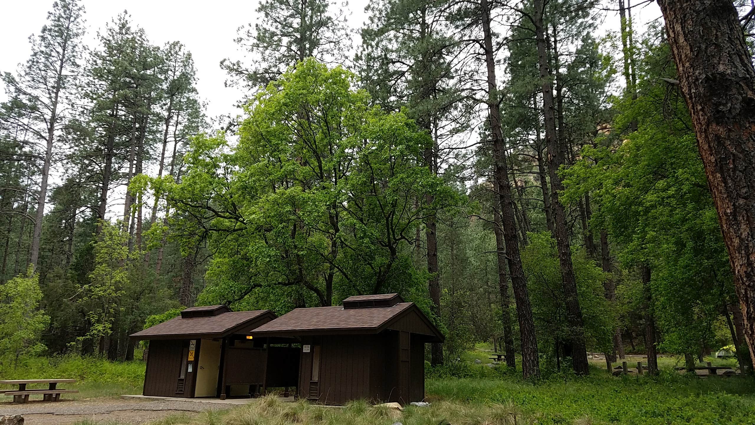 Colette K.'s photo of glamping accommodations at Cave Springs near Camp Verde, AZ