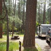Review photo of Cave Springs by Colette K., August 25, 2017