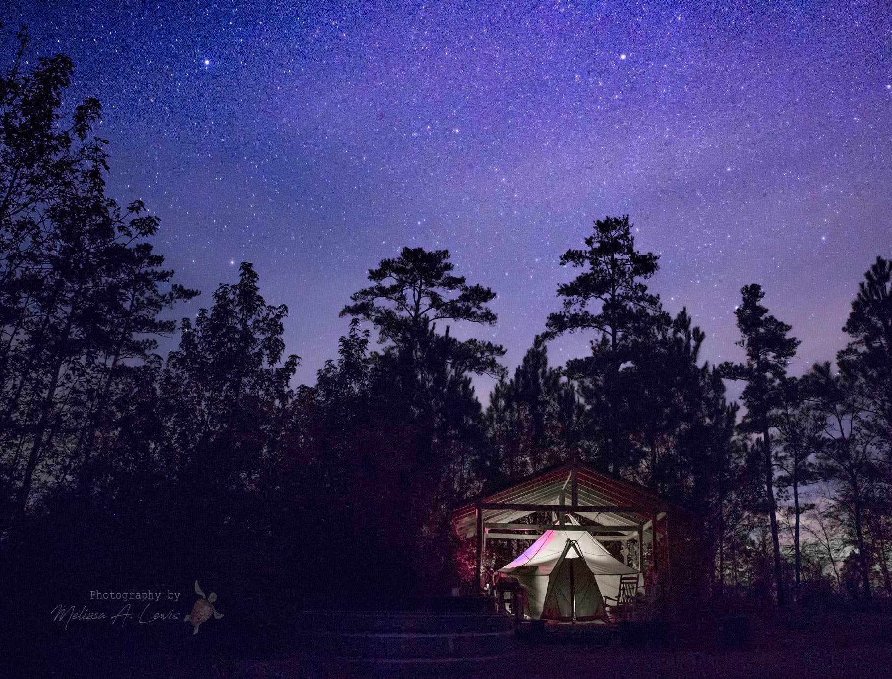 Camper submitted image from Stonewood Farm - 3