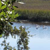 Review photo of Crooked River State Park Campground by Suzy E., December 12, 2019