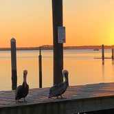 Review photo of Crooked River State Park Campground by Suzy E., December 12, 2019