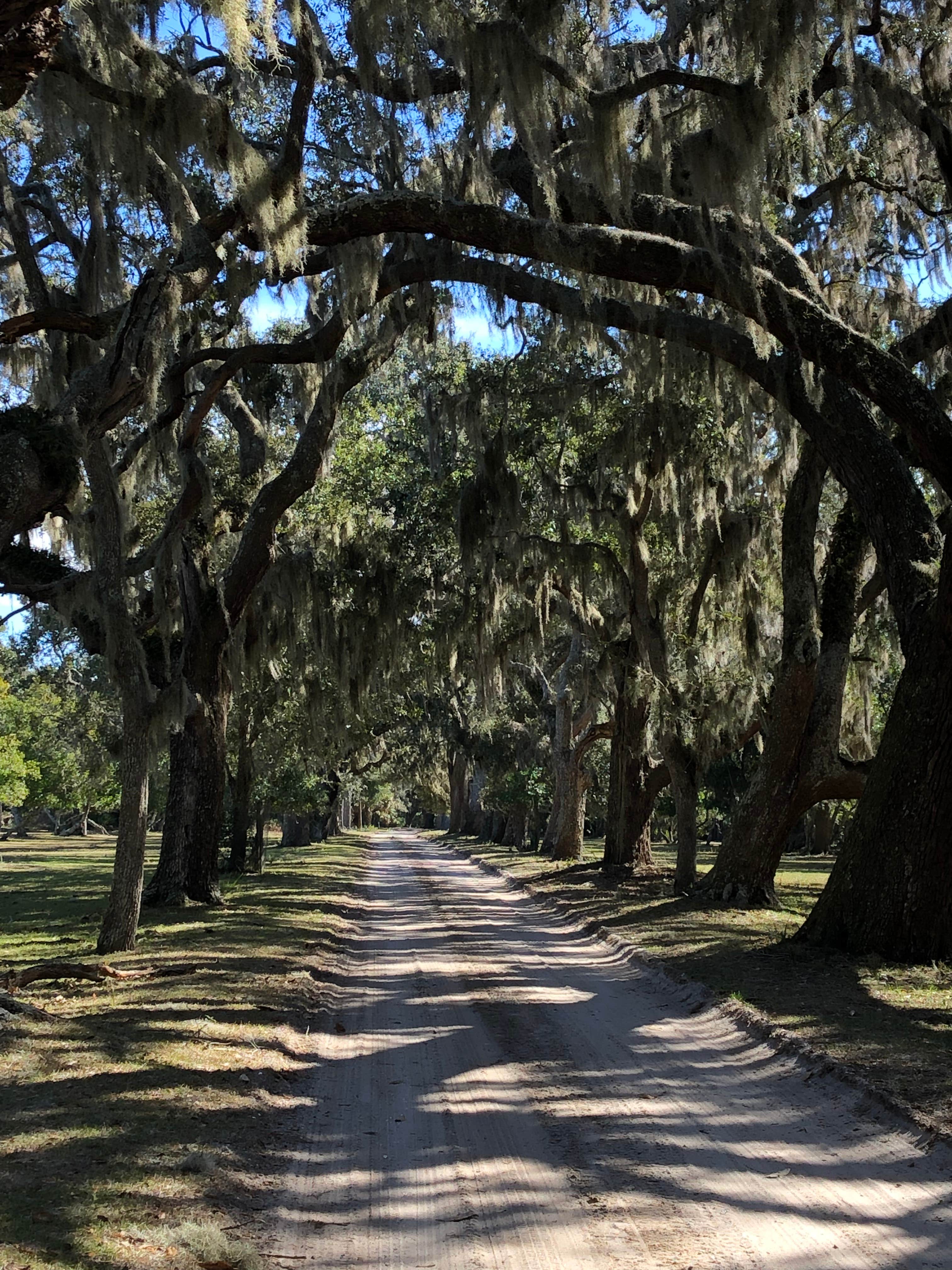 Camper-submitted photo at Crooked River State Park Campground near Brunswick, GA
