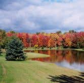 Camper-submitted photo at Whispering Pines Camping Estates near Benton, PA