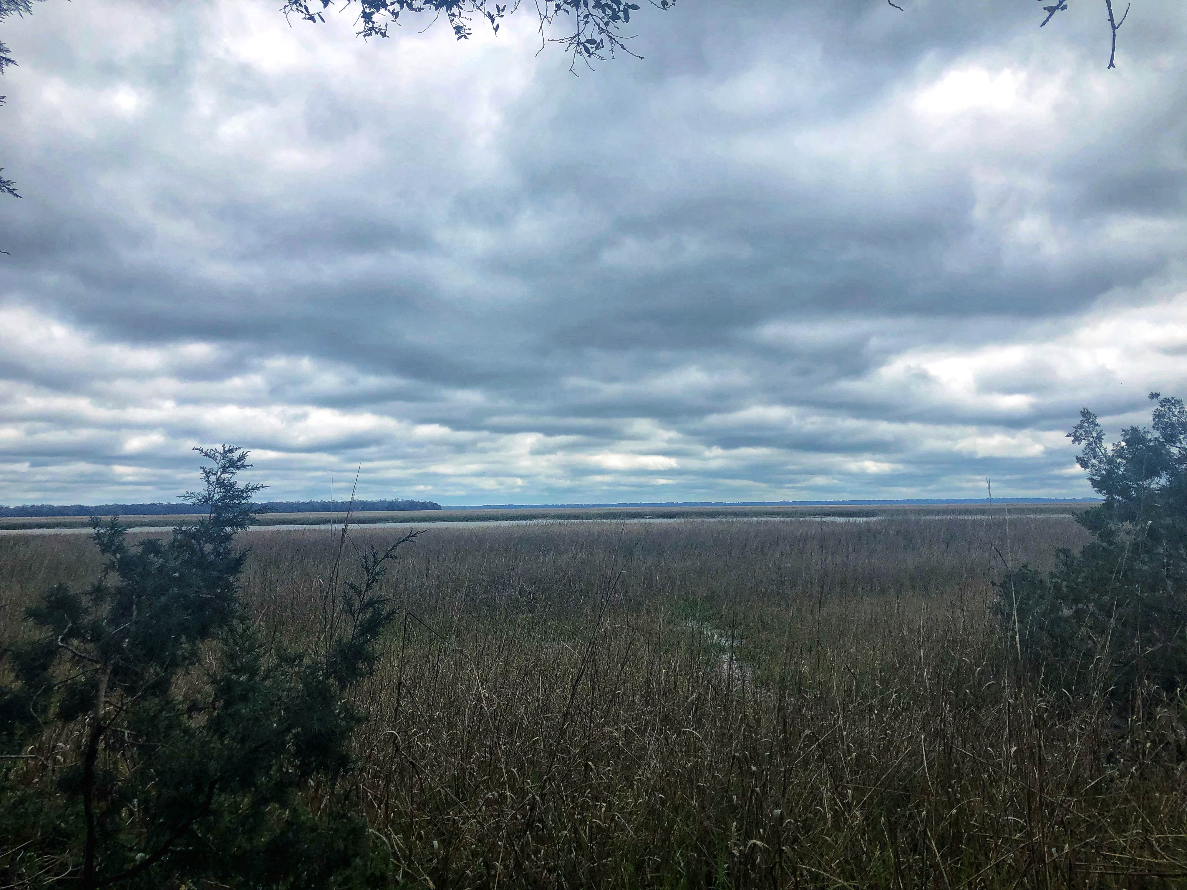 View from a trail at st. marys