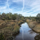 Review photo of Skidaway Island State Park Campground by Travyl Couple !., December 13, 2019