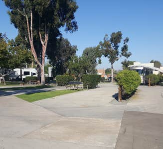 Camper-submitted photo from San Diego Metro KOA