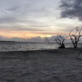 Review photo of Big Pine Key RV Resort by Ashlee L., December 13, 2019