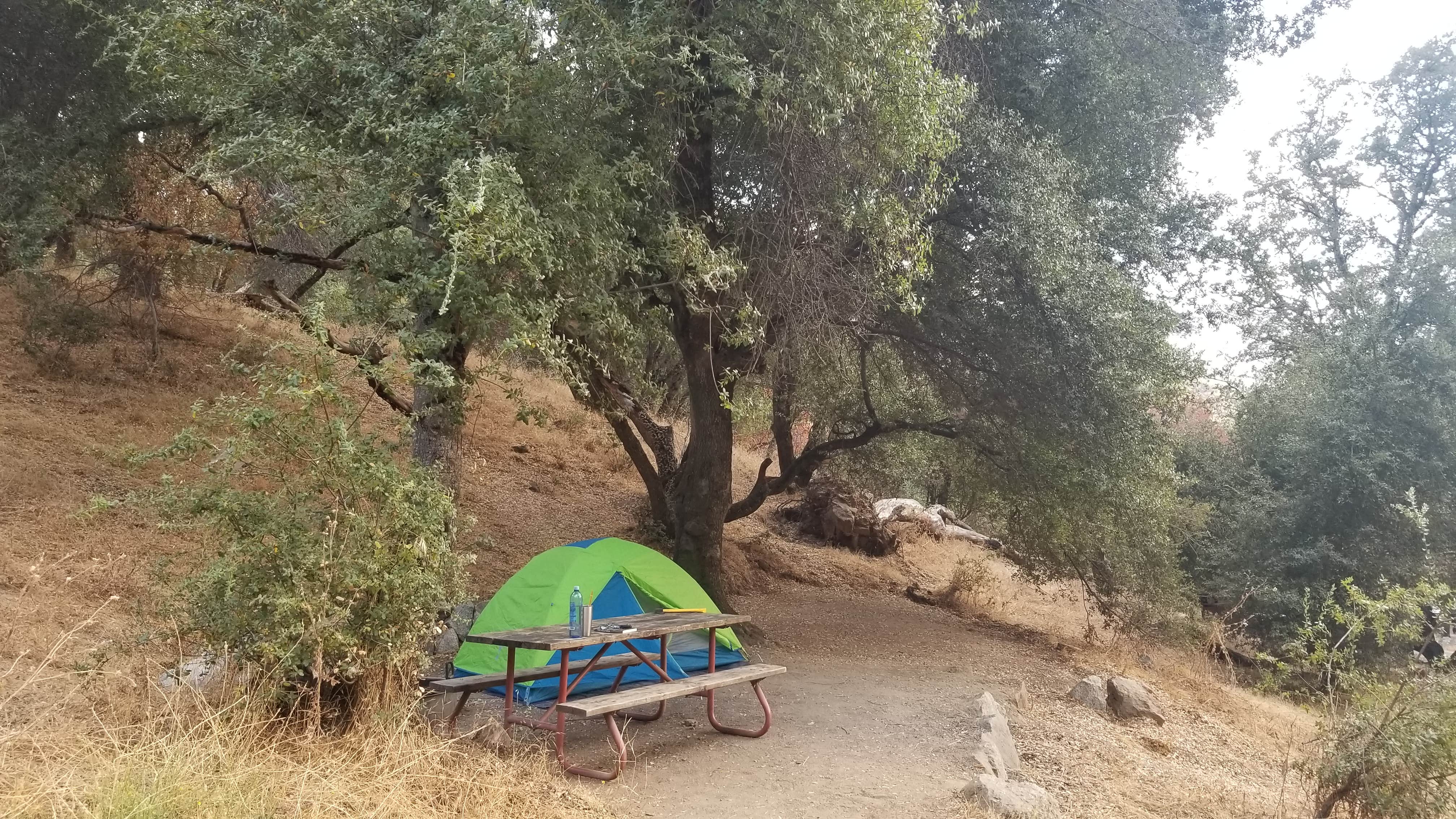 Camper submitted image from Potwisha Campground — Sequoia National Park - 4