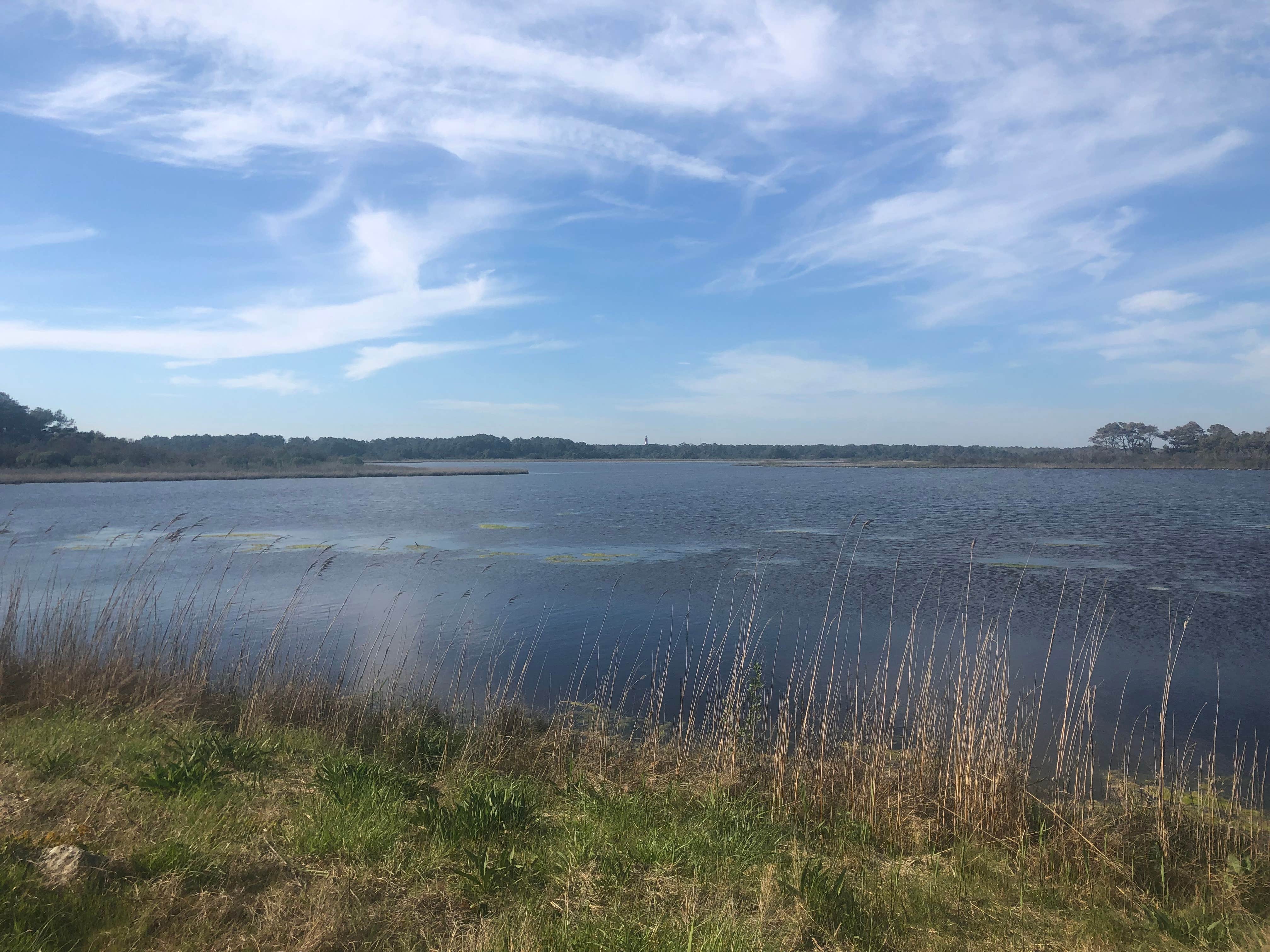 Camper-submitted photo at Jellystone Park™ Chincoteague Island near Assateague Island National Seashore