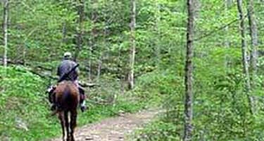 Big Creek Horse Camp