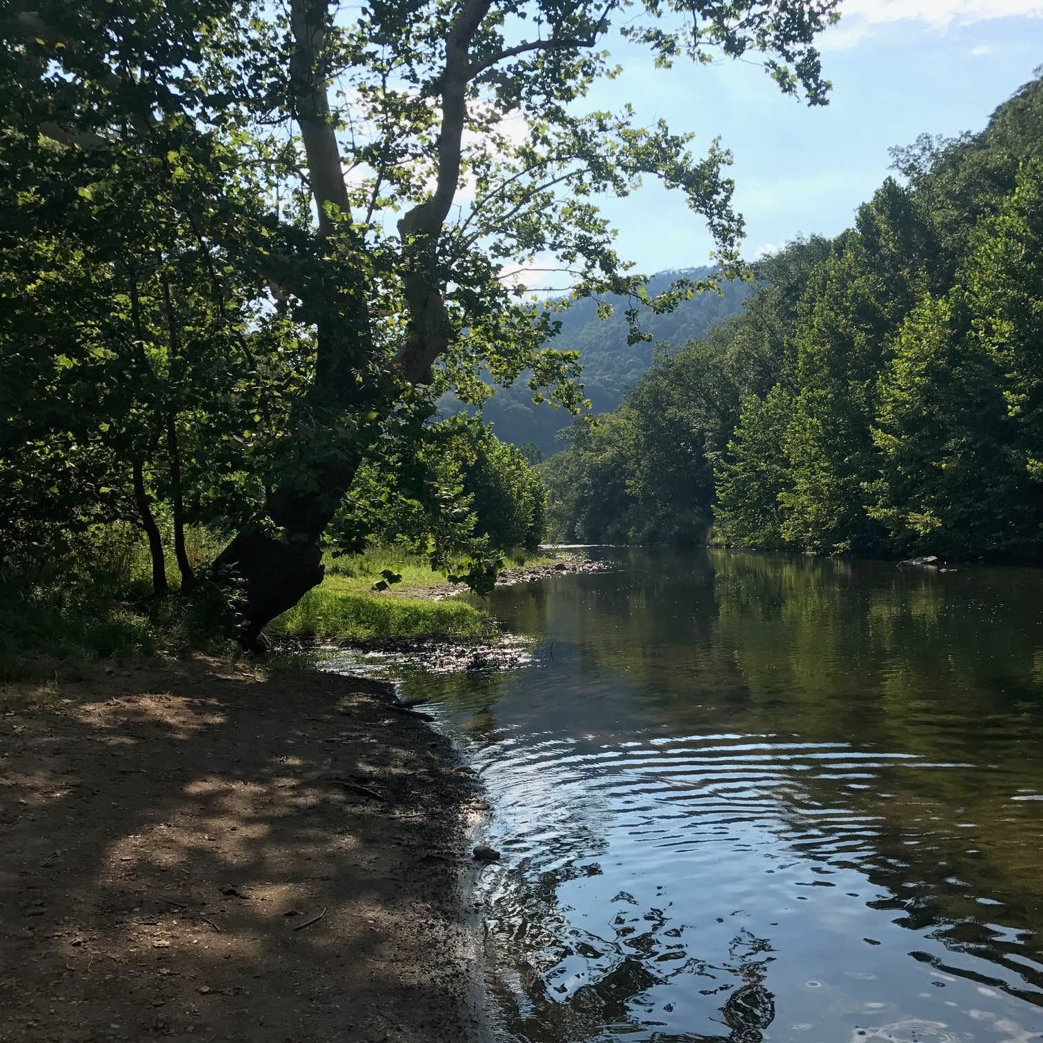 Big Bend Camping The Dyrt