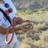 Review photo of Afton Canyon Campground by Brian K., June 29, 2016