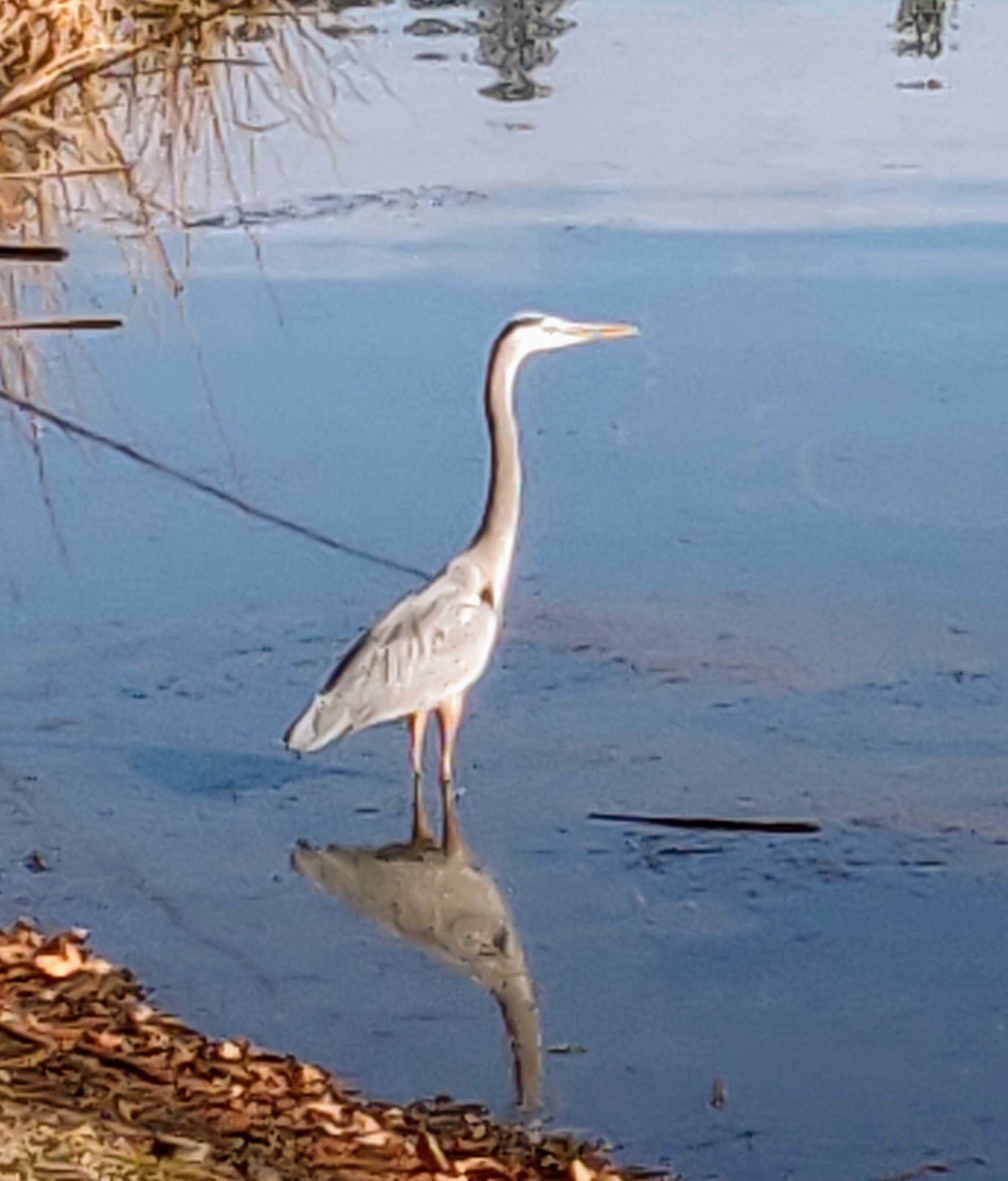 Camper-submitted photo at Lake Selmac County Park near O'Brien, OR