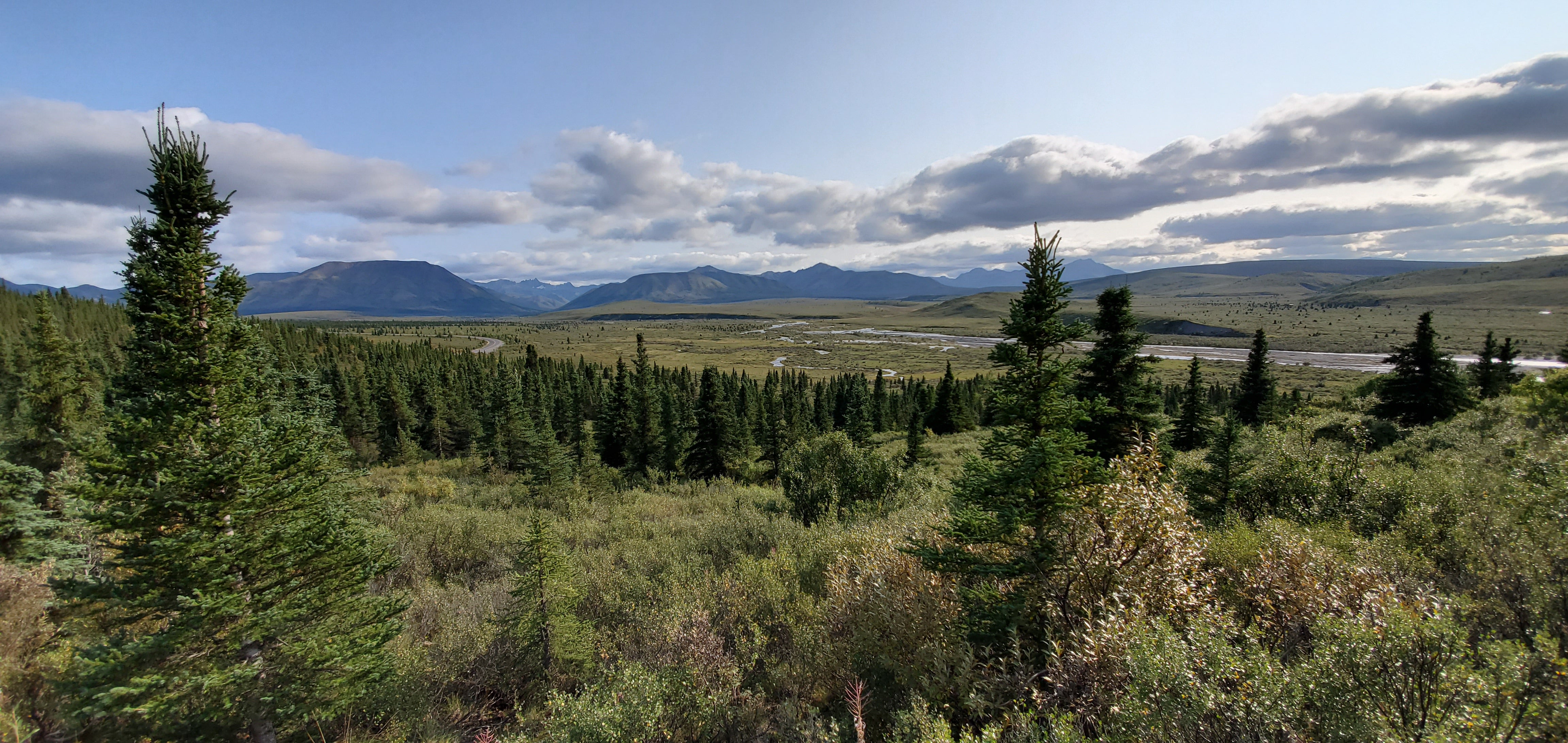 Views of Denali are available at mile 10 in the Park if the weather cooperates. The shuttle buses run frequently from Campground to Campground and stop at some easy trailheads and drop offs to the backcountry.