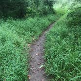 Review photo of Big Bend Campground by Dave V., August 25, 2017