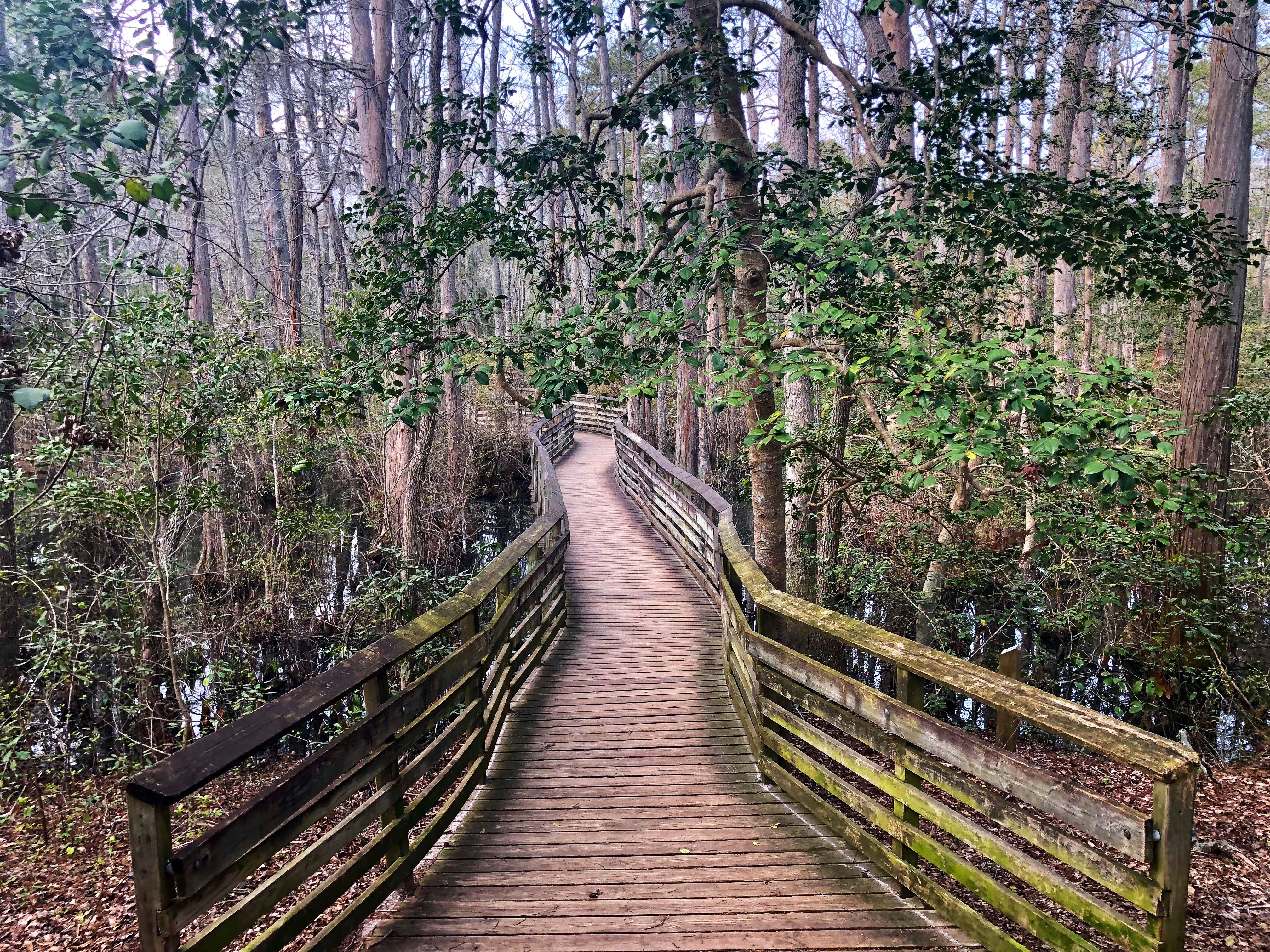 Boardwalk on one of the park trails