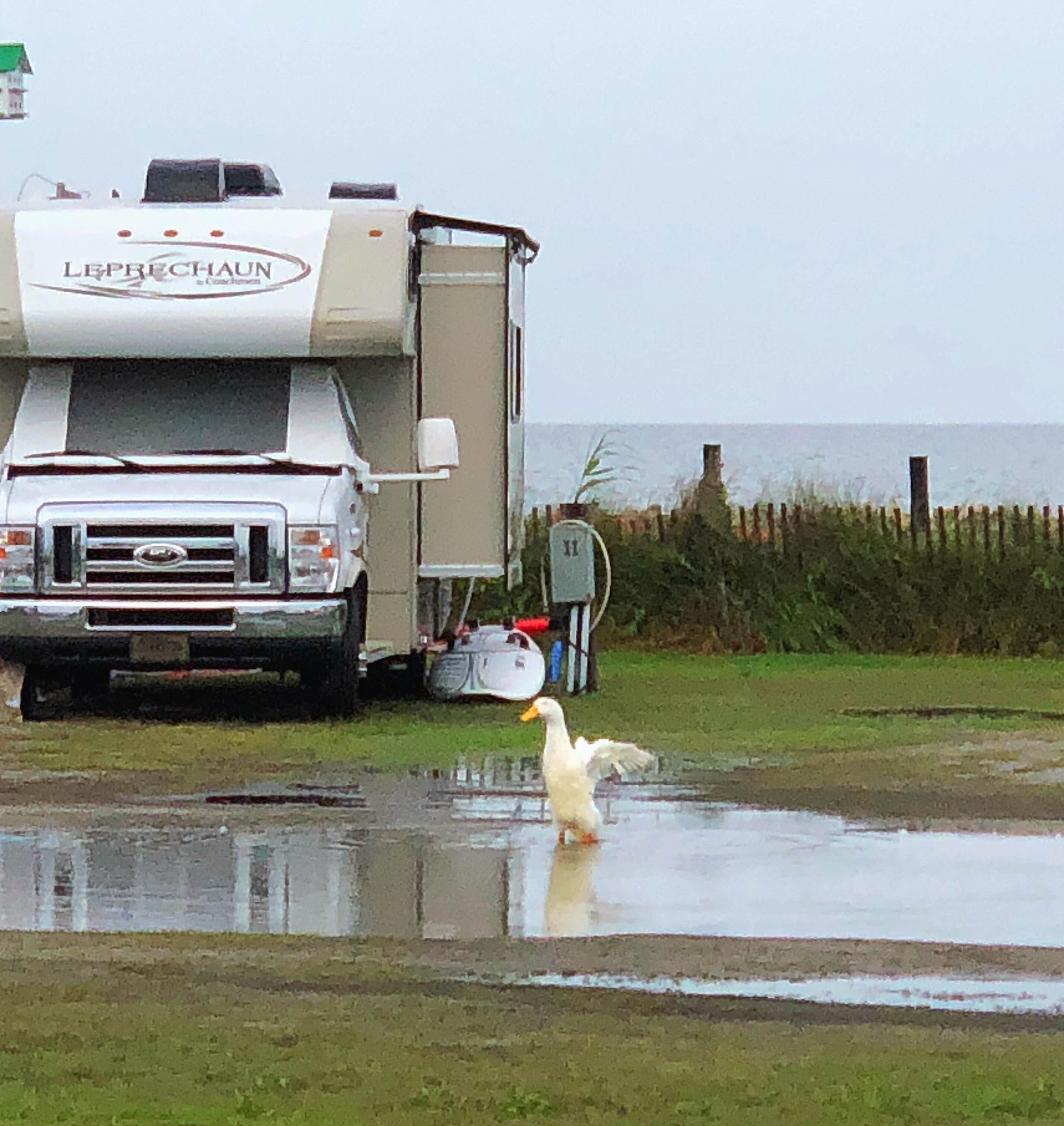 Charles M.'s photo of rv camping at St Clair Landing Family Campground near Rodanthe, NC