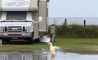 Charles M.'s photo of rv camping at St Clair Landing Family Campground near Manns Harbor, NC