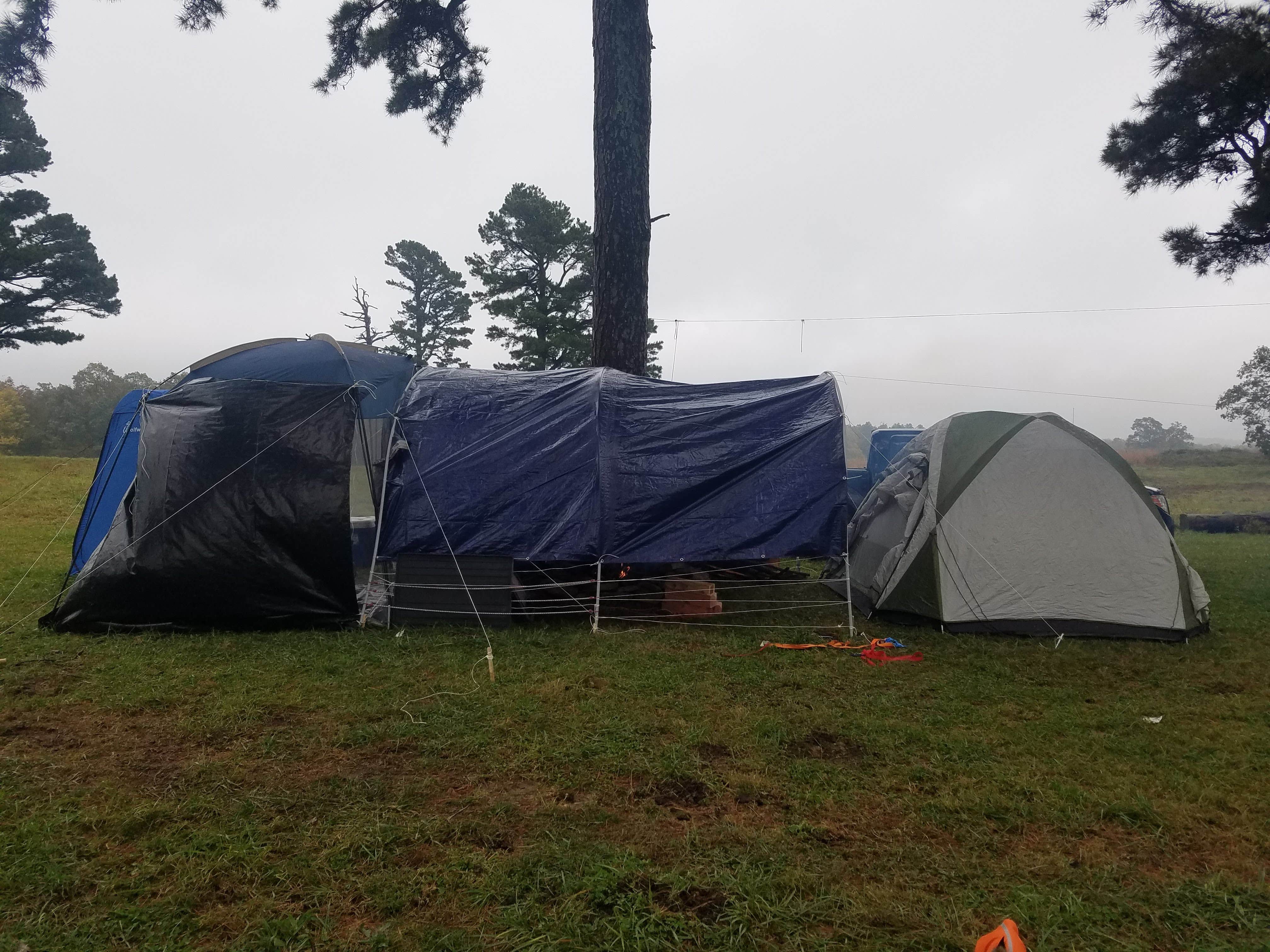 Camper submitted image from Wilderness Rider Buffalo Ranch and Adventure Park - 2