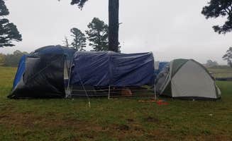 Leslie D.'s photo at Wilderness Rider Buffalo Ranch and Adventure Park near Kingston, AR