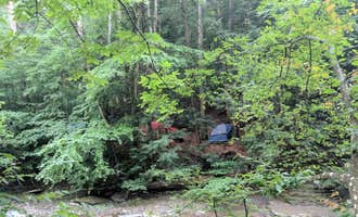 Camping near Ossian State Forest: Sugar Creek Glen Campground, Almond, New York