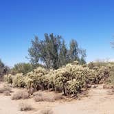 Review photo of Ocotillo Wells State Vehicular Recreation Area by Etienne H., December 15, 2019