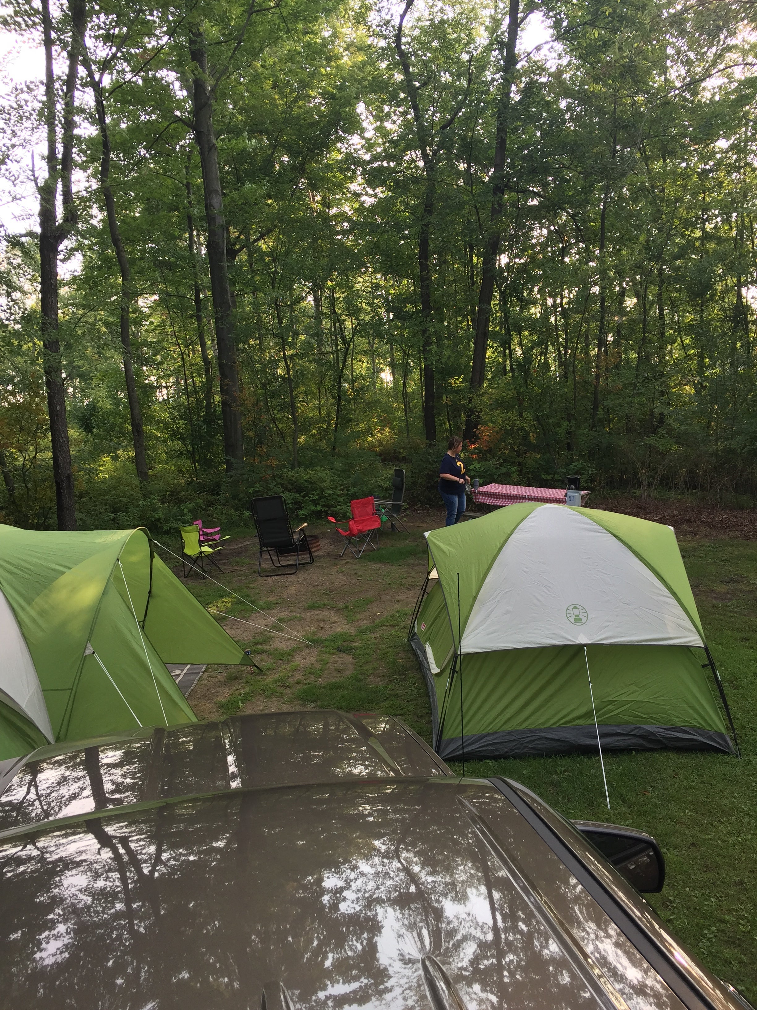 Camper submitted image from Wagener County Park Campground - 2
