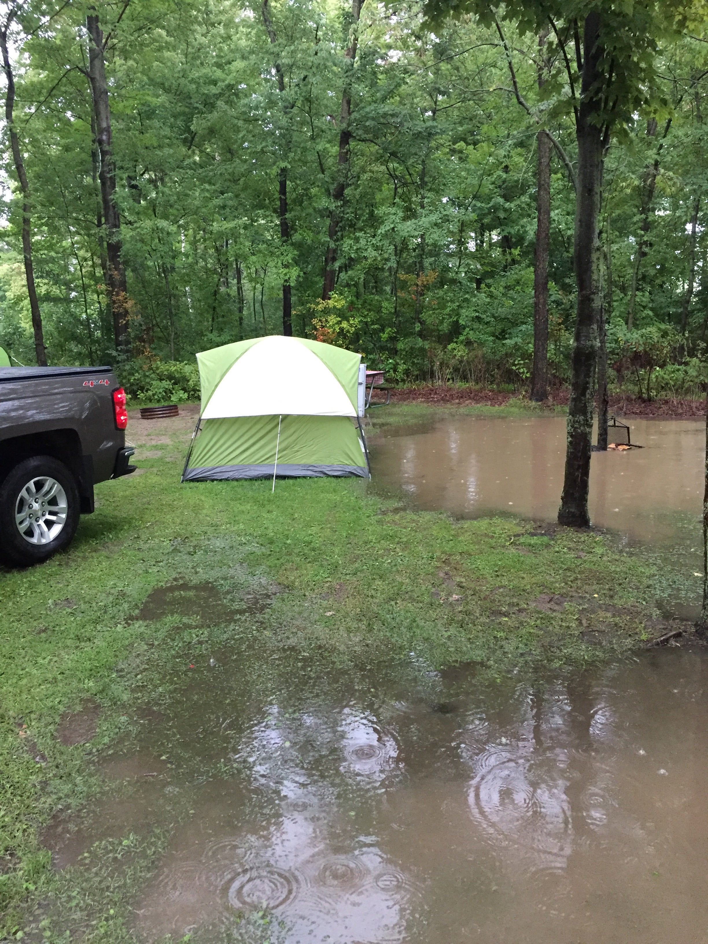 Camper submitted image from Wagener County Park Campground - 1