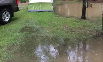 Camping near Stafford County Park Campground: Wagener County Park Campground, Port Hope, Michigan