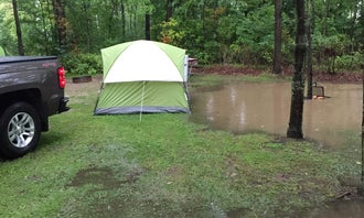 Camping near Port Crescent State Park Campground: Wagener County Park Campground, Port Hope, Michigan