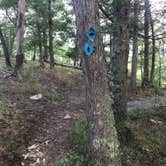 Review photo of Big Bend Campground by Dave V., August 25, 2017