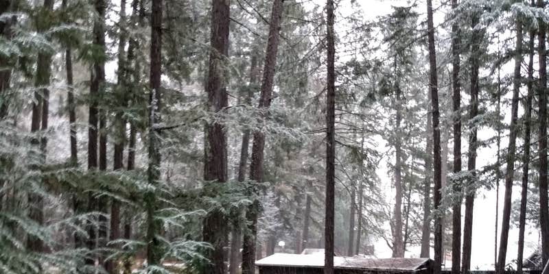 Camper submitted image from Lake Selmac County Park