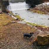 Review photo of Little Beaver State Park Campground by Shelly S., December 16, 2019