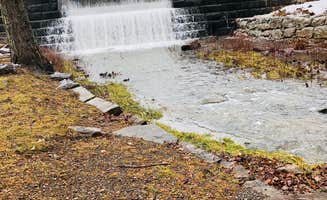 Shelly S.'s photo of camping with pets at Little Beaver State Park Campground near New River Gorge National River