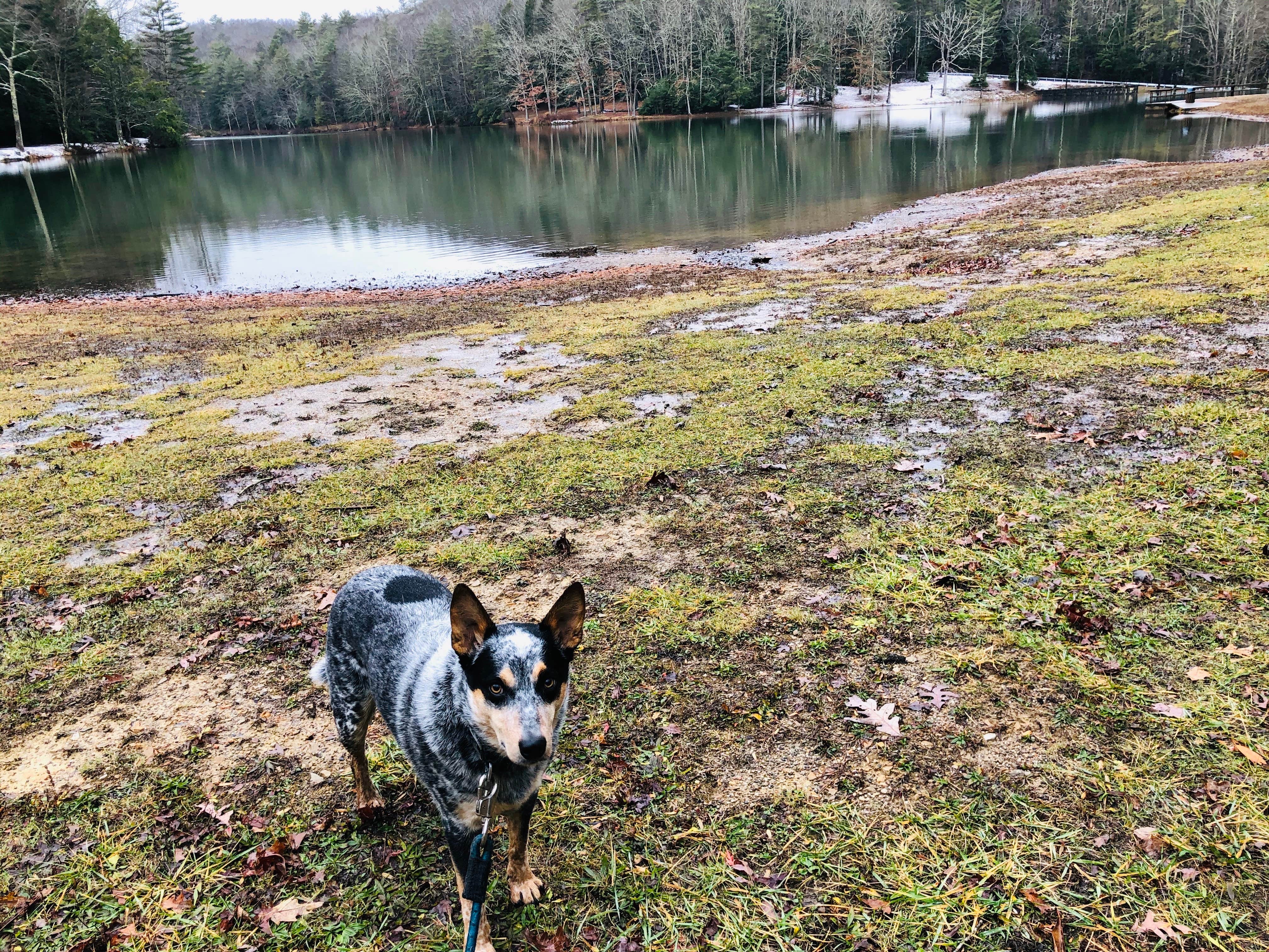 Camper submitted image from Little Beaver State Park Campground - 2