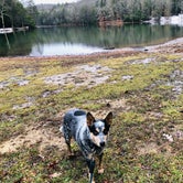 Review photo of Little Beaver State Park Campground by Shelly S., December 16, 2019