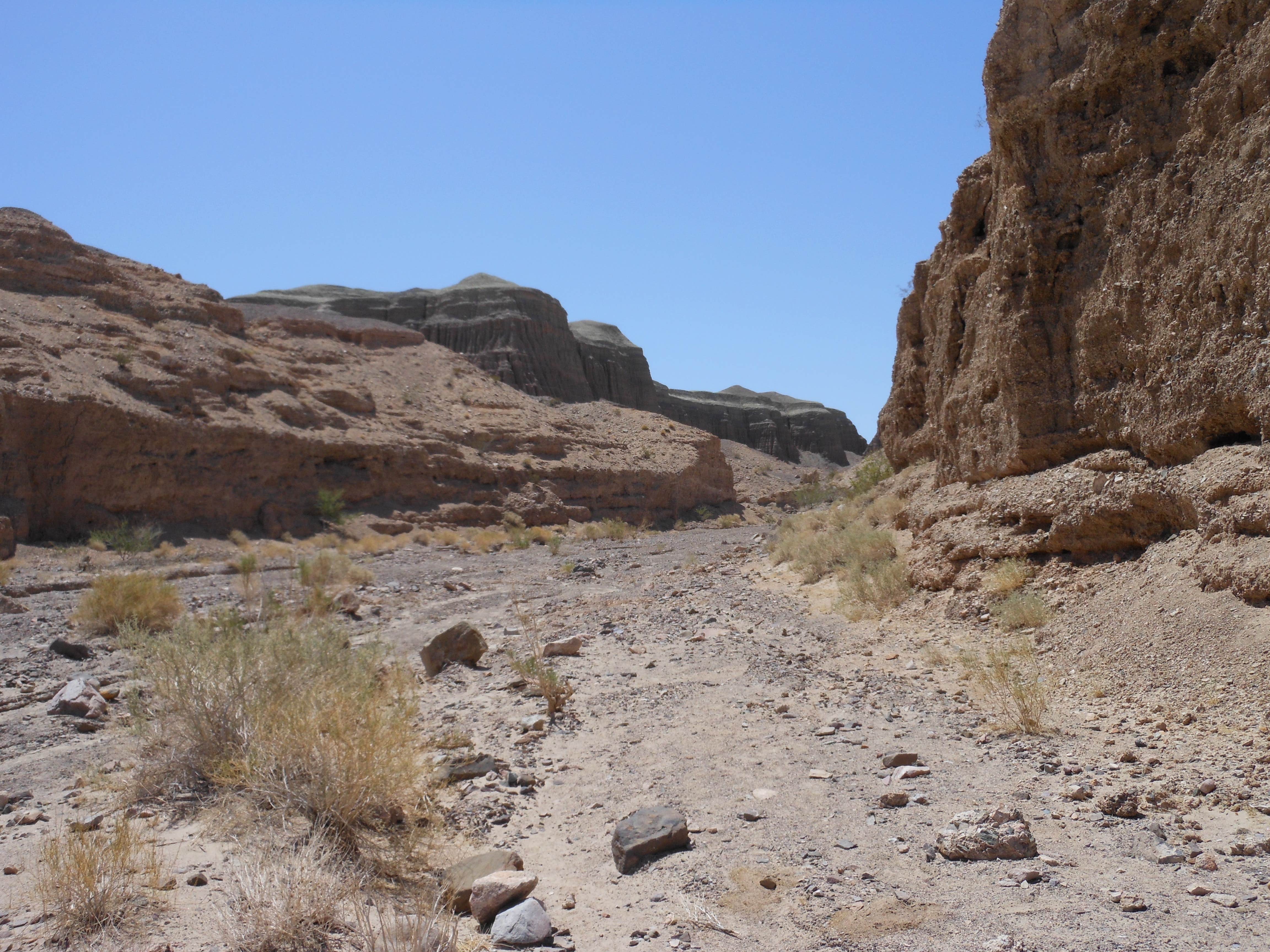 Camper submitted image from Afton Canyon Campground - 2