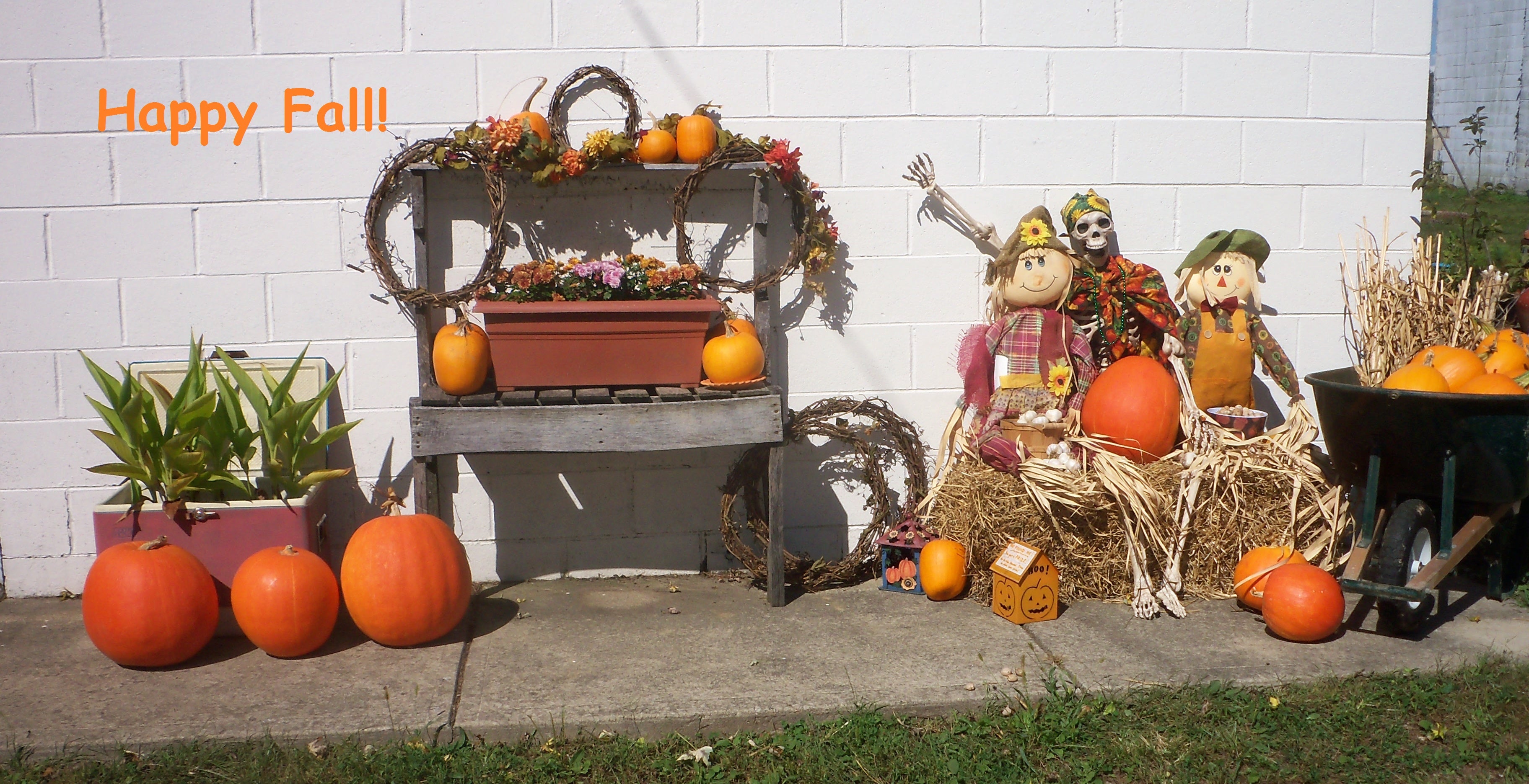 The general store is decorated at fall with field grown pumpkins