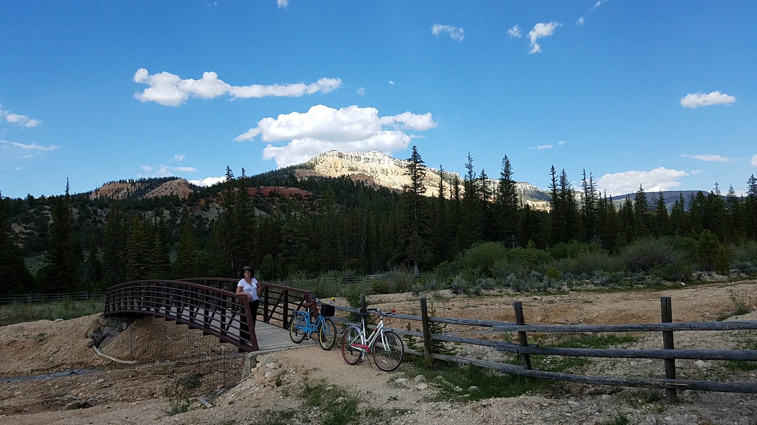 Pine lake new arrivals campground