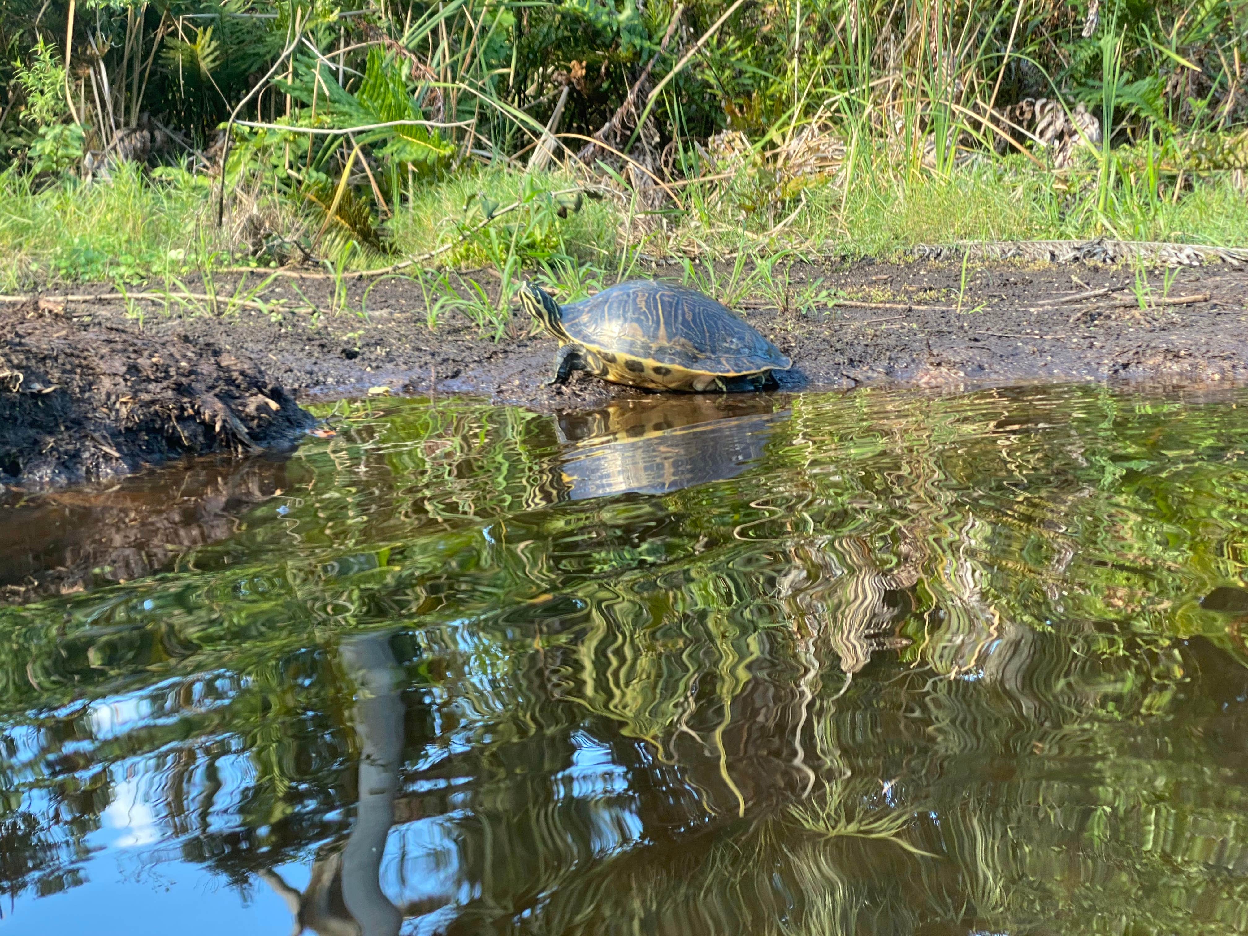 Camper-submitted photo at Hugh Taylor Birch State Park - Youth Group Camping near Hollywood, FL