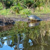 Review photo of Hugh Taylor Birch State Park - Youth Group Camping by Jennifer L., December 17, 2019