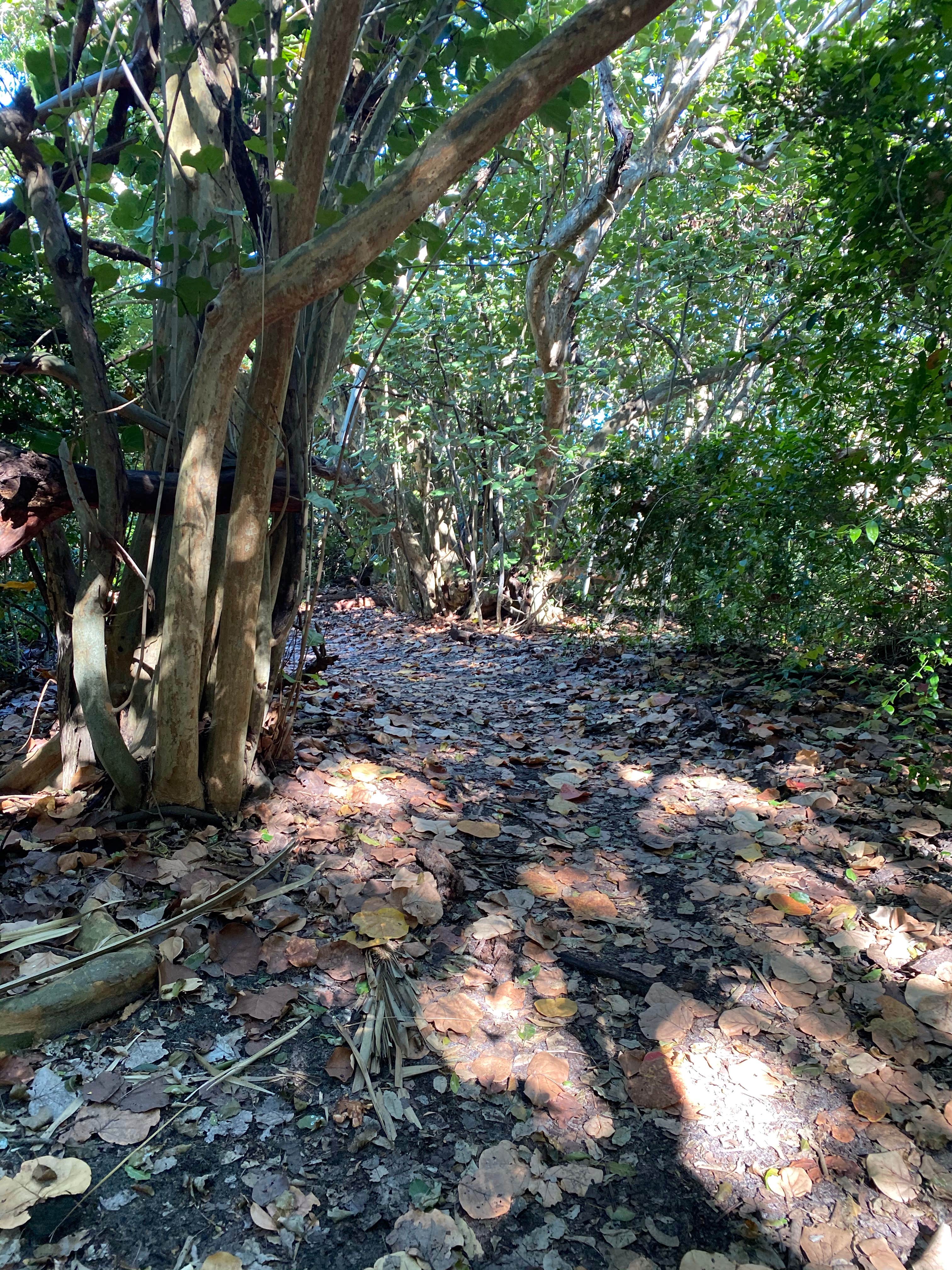 Camper-submitted photo at Hugh Taylor Birch State Park - Youth Group Camping near Hollywood, FL