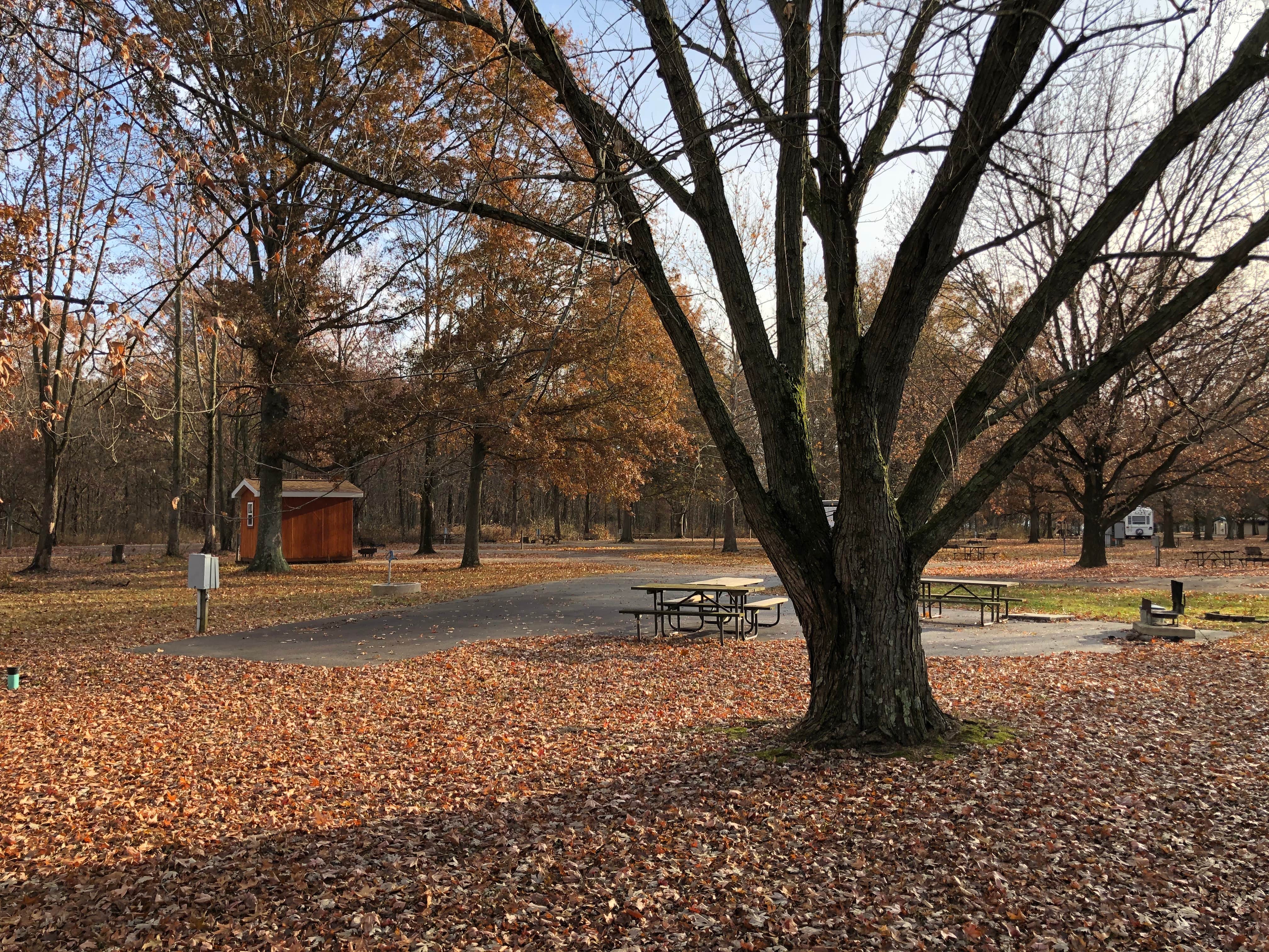 Camper-submitted photo at Plainview Campground — Lincoln Trail State Park near Marshall, IL